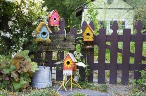 DIY Birdhouse Build Your Own Backyard Oasis