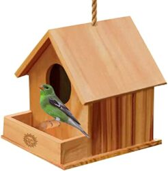 DIY Building A Birdhouse Out Back