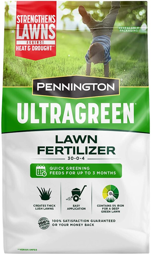 When To Fertilize Your Lawn