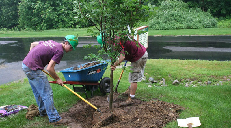 Make Your Own Topsoil.