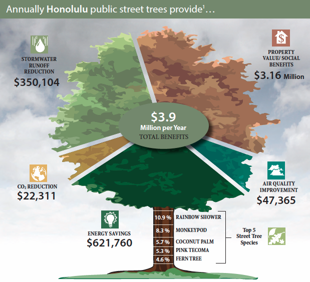 3 reasons why trees are important