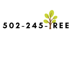 logo marcells tree service