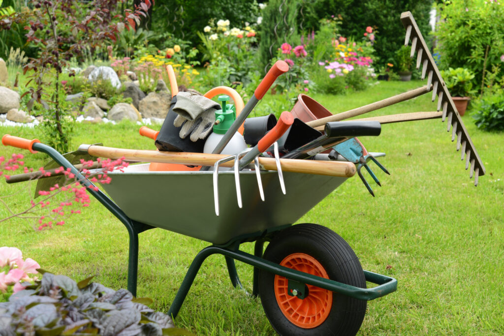 Spring And Fall Yard Clean-Ups