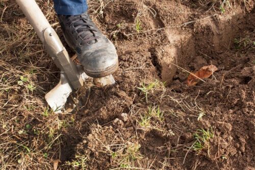 How To Make Topsoil