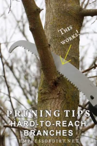 Tree Pruning Tips