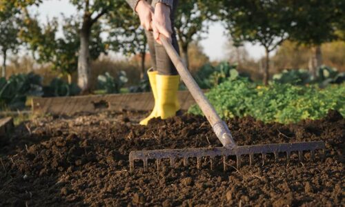 Preparing the Ground